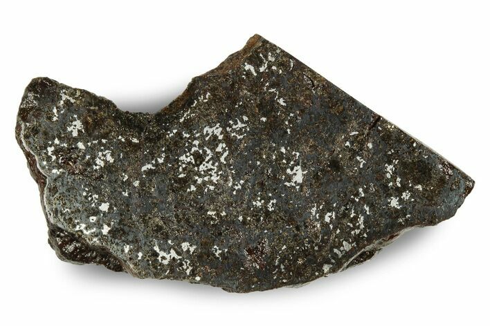 Polished Vaca Muerta Mesosiderite Meteorite ( grams) - Chile #246991